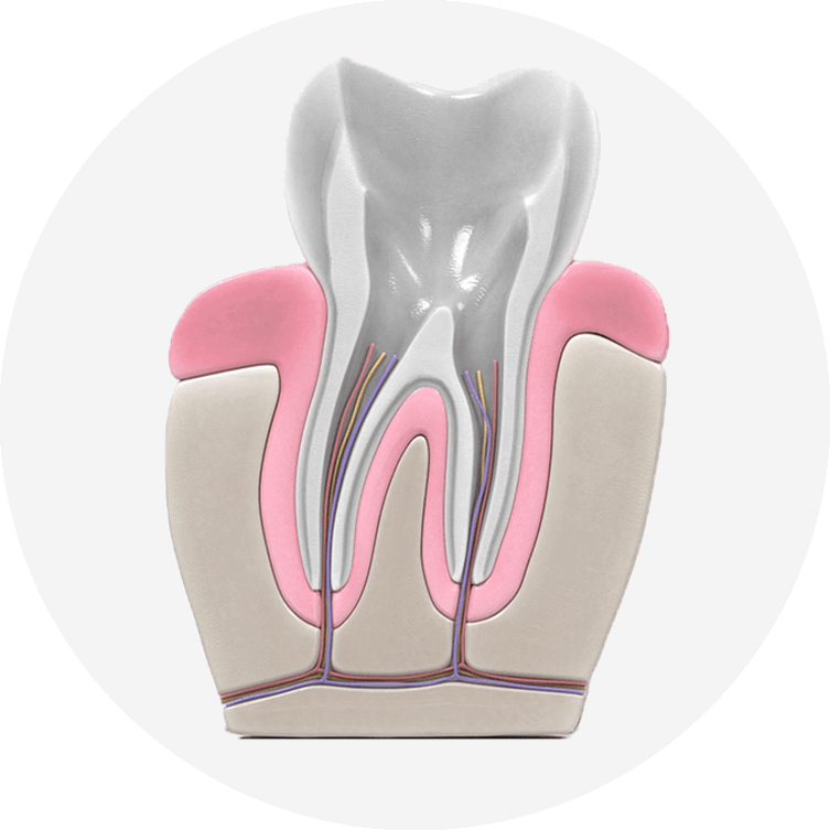 cleaned out tooth